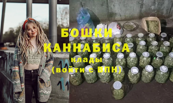 сатива Арсеньев