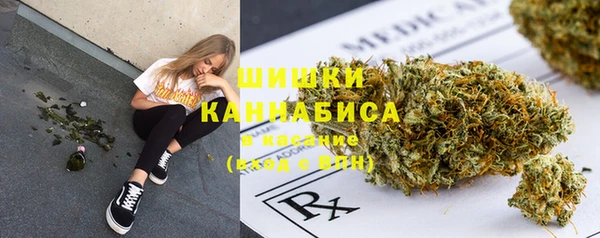сатива Арсеньев