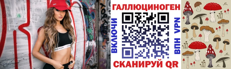 Псилоцибиновые грибы мицелий купить наркотик Нязепетровск